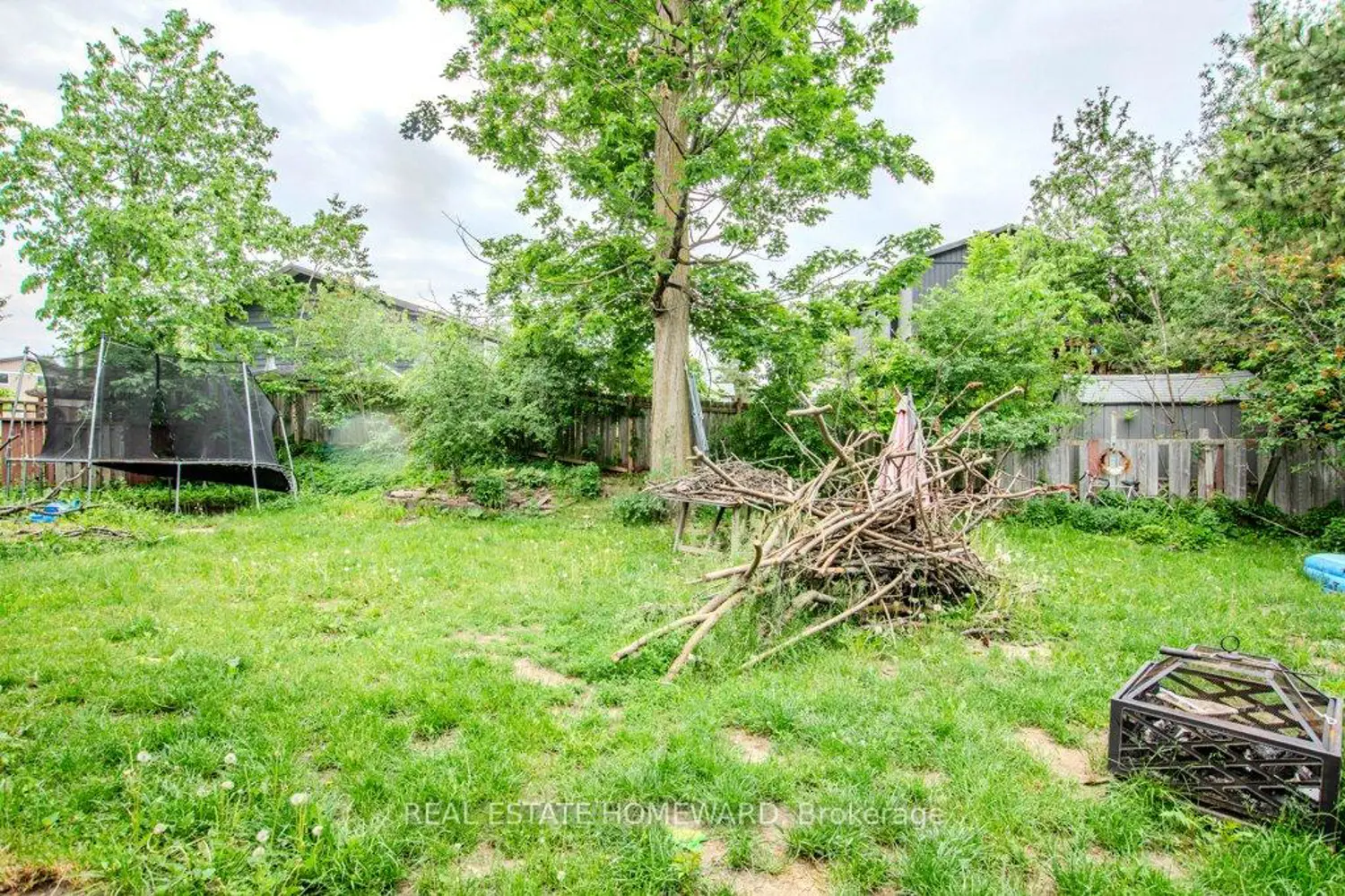 54 Springdale Drive photo 4