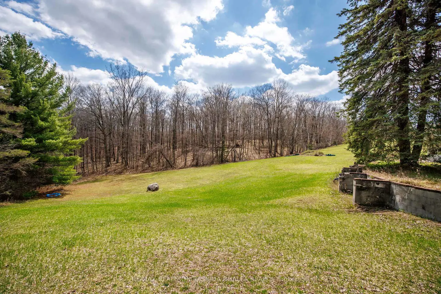 443 Goodwood Road photo 5