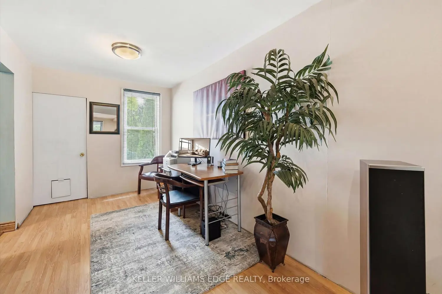 144 Campbell Avenue photo 4