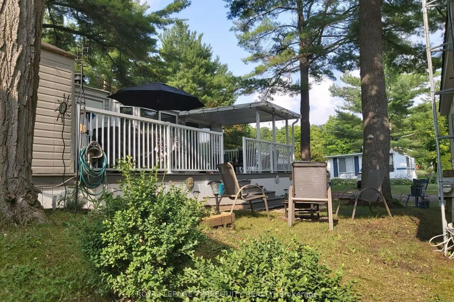 262 Birch photo 3