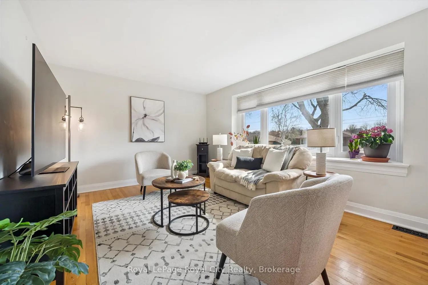 103 William Street photo 2