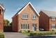 Hare at Alderbrook Manor, Grappenhall Curzon Drive WA4