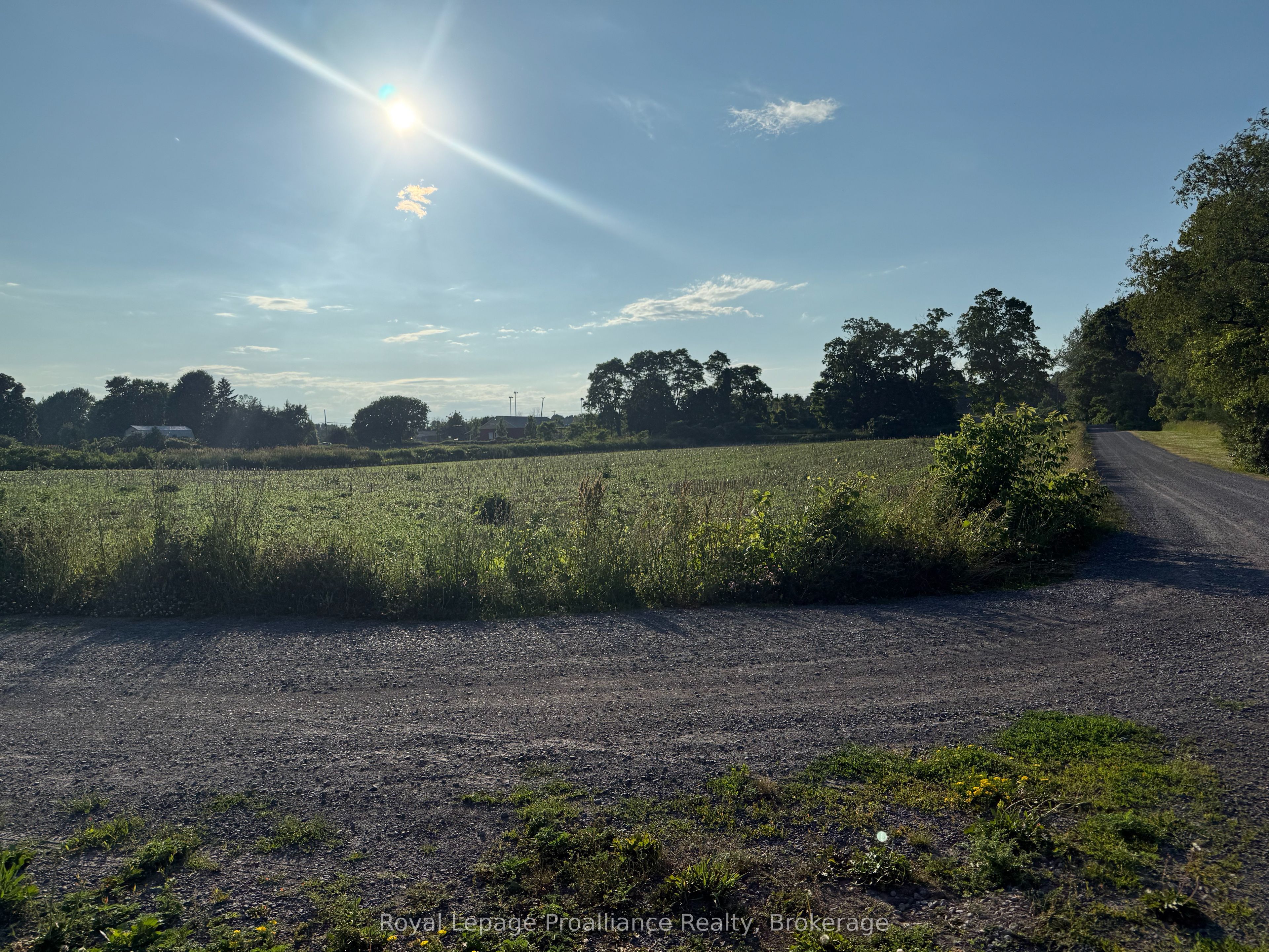 00 County Road 8 N/a, Prince Edward County, ON, K0K 2T0