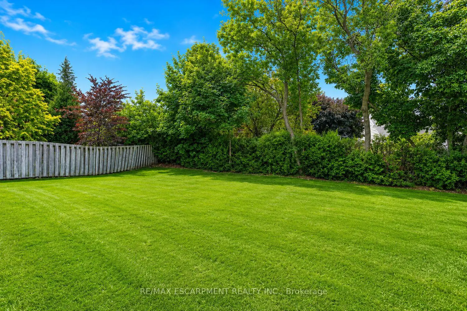 234 Bell Street photo 5