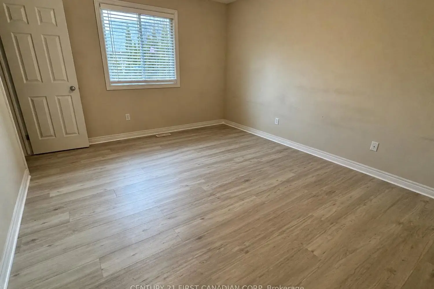 994 Marigold Street photo 5