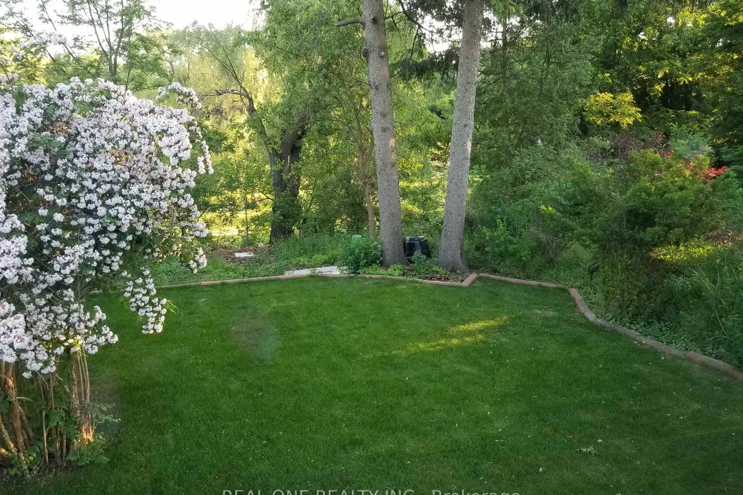 26 Applefield Drive photo 5