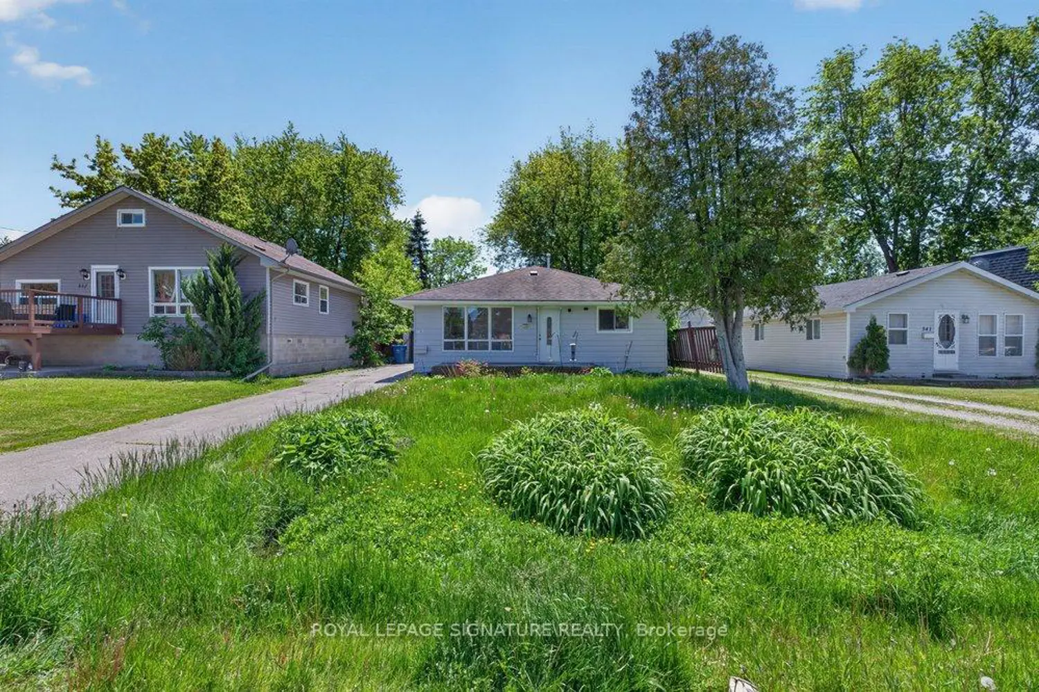 339 Tampa Drive photo 5