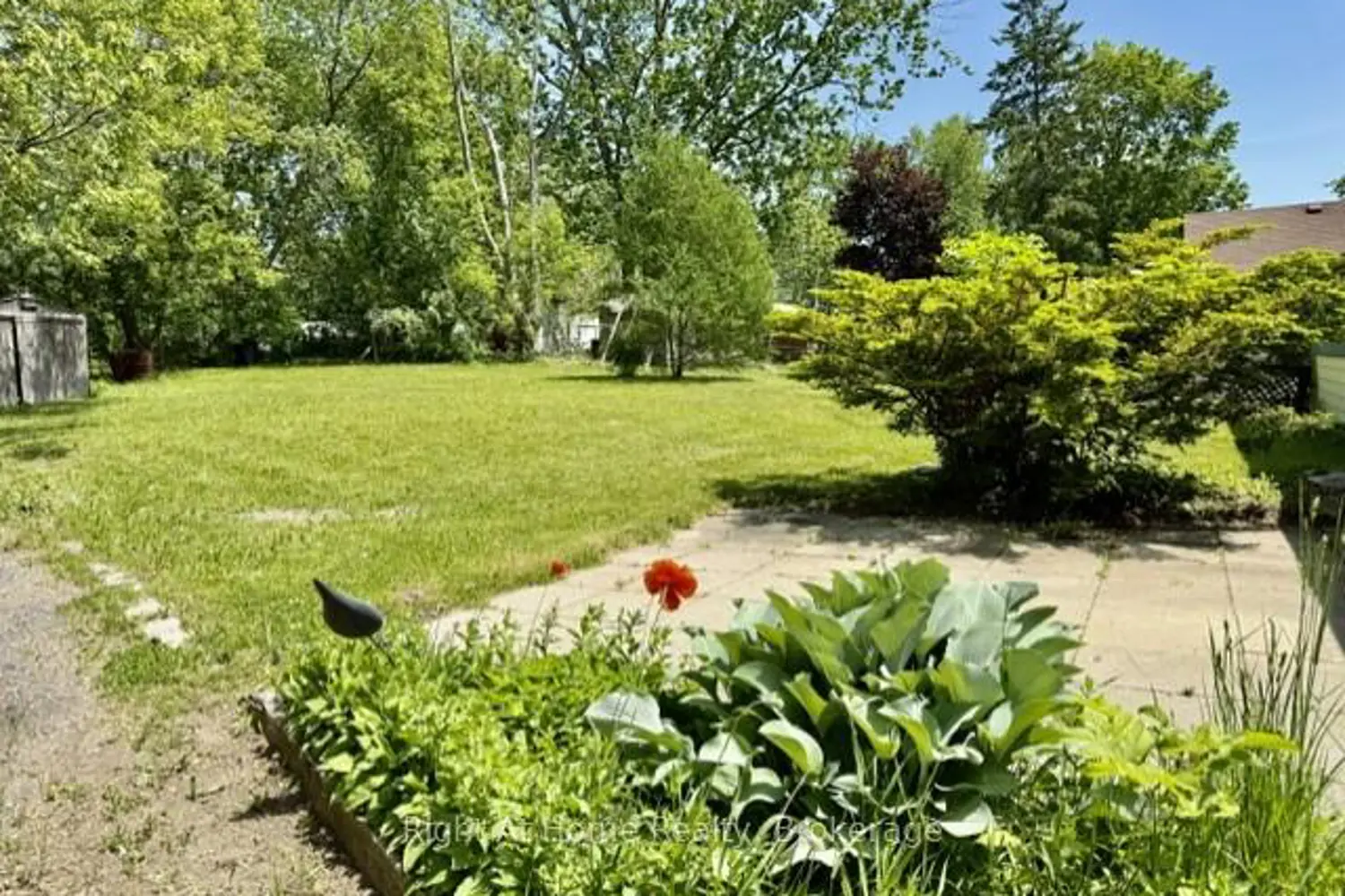 118 Percy Crescent photo 3