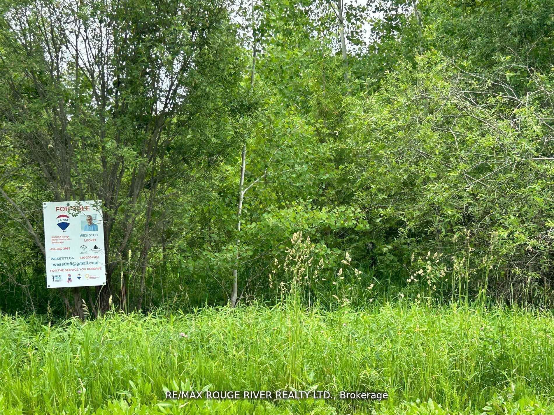 Con 8 Ptlot7rdpl74pt44-49 N/a, Trent Hills, ON, K0K 3K0
