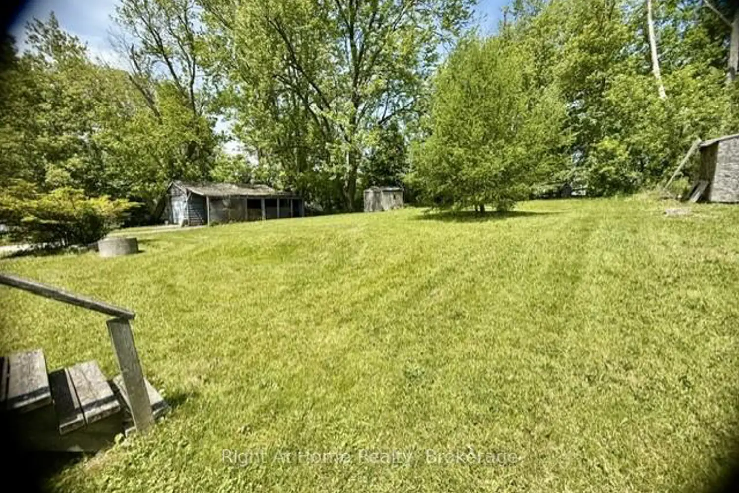 118 Percy Crescent photo 4