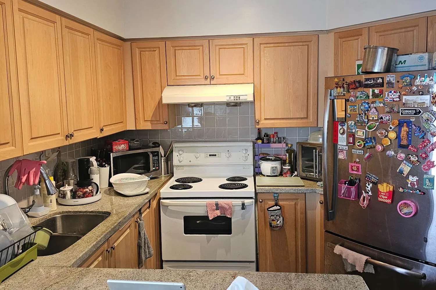 48 Suncrest Boulevard 1011 photo 5