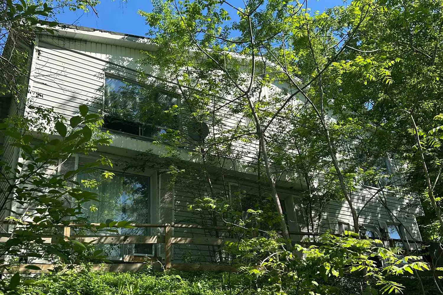 116 Maple Avenue photo 3