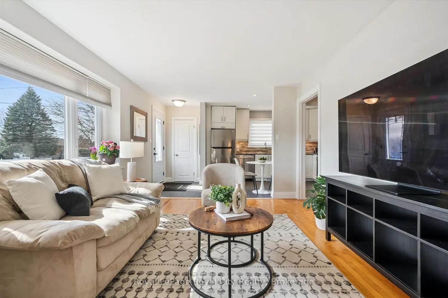 103 William Street photo 5