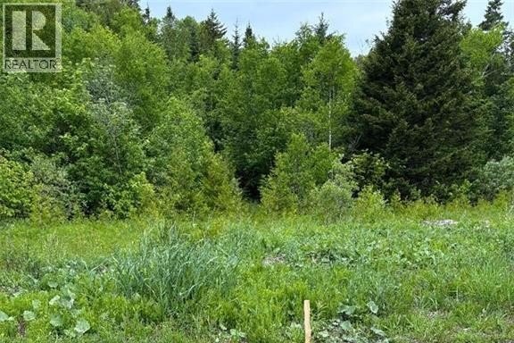 00 Drury Cove Road, Saint John, NB, E2H0B2 photo 2