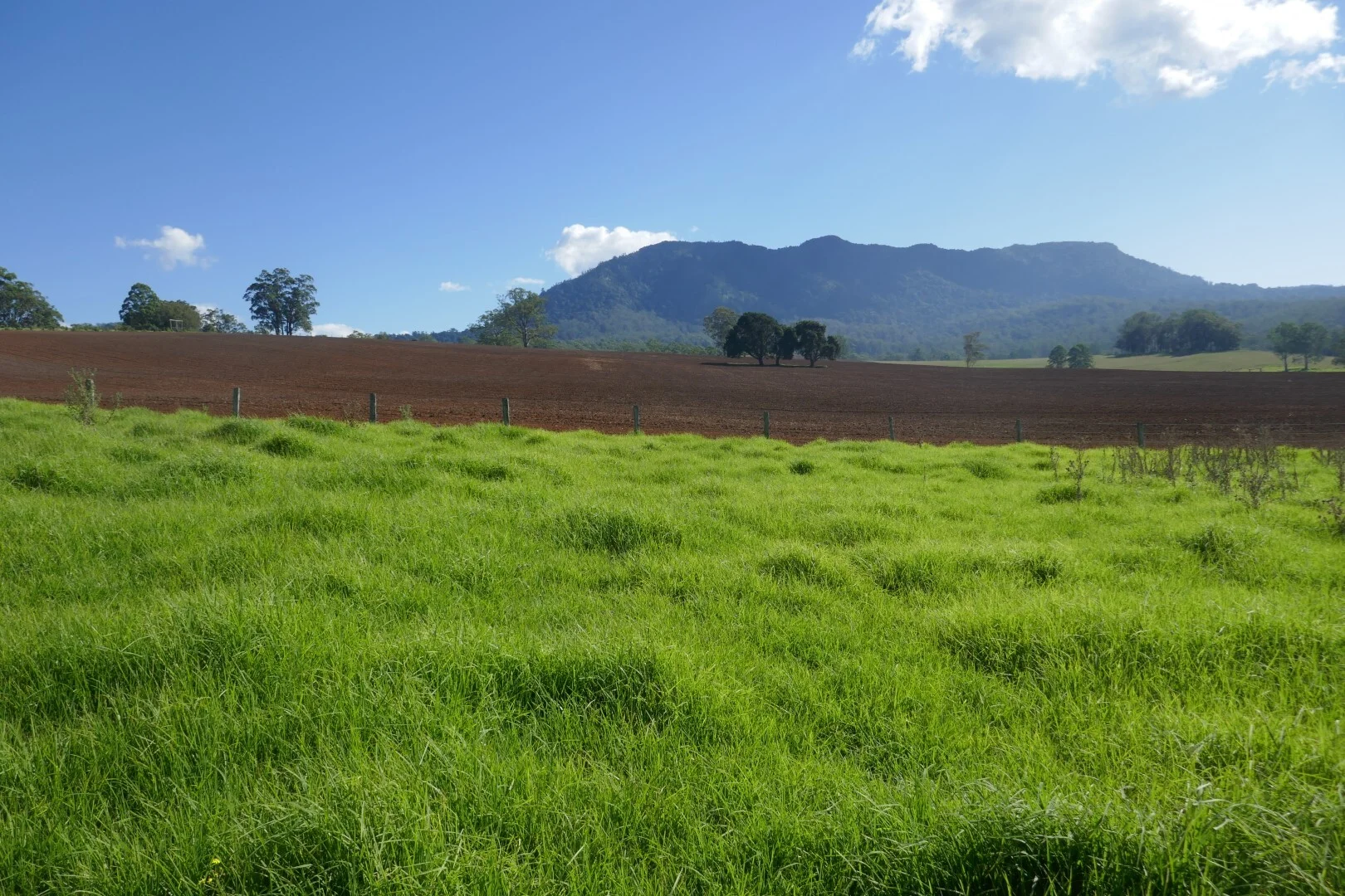 Woodenbong NSW 2476 photo 3