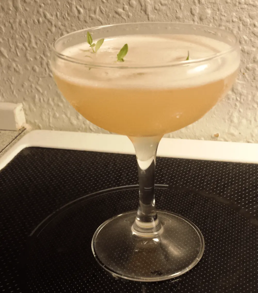 Salty Dog cocktail