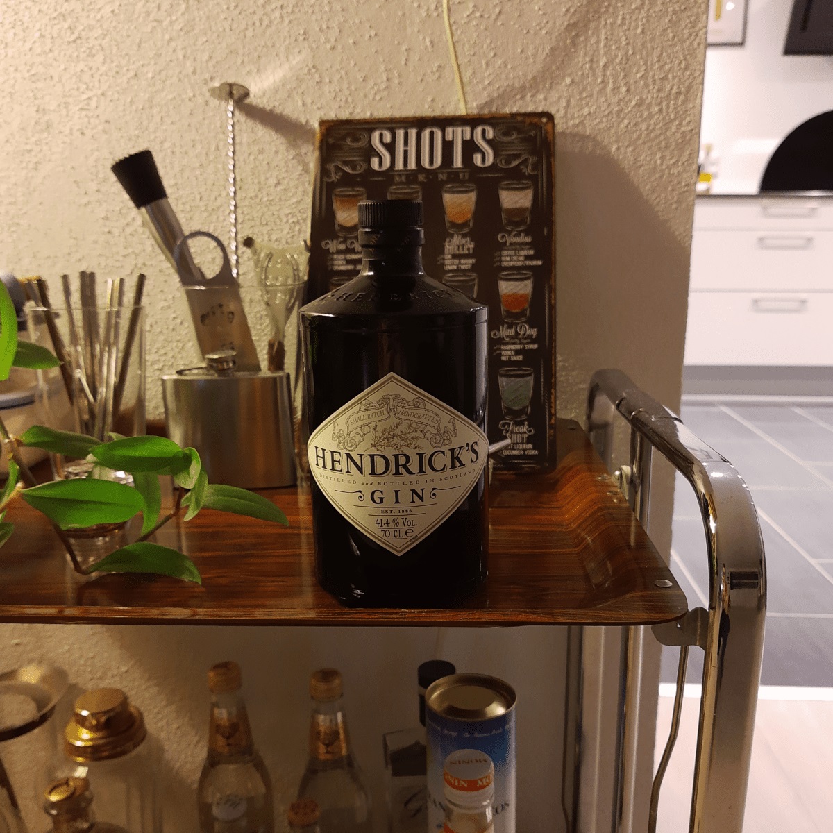 Hendrick's gin