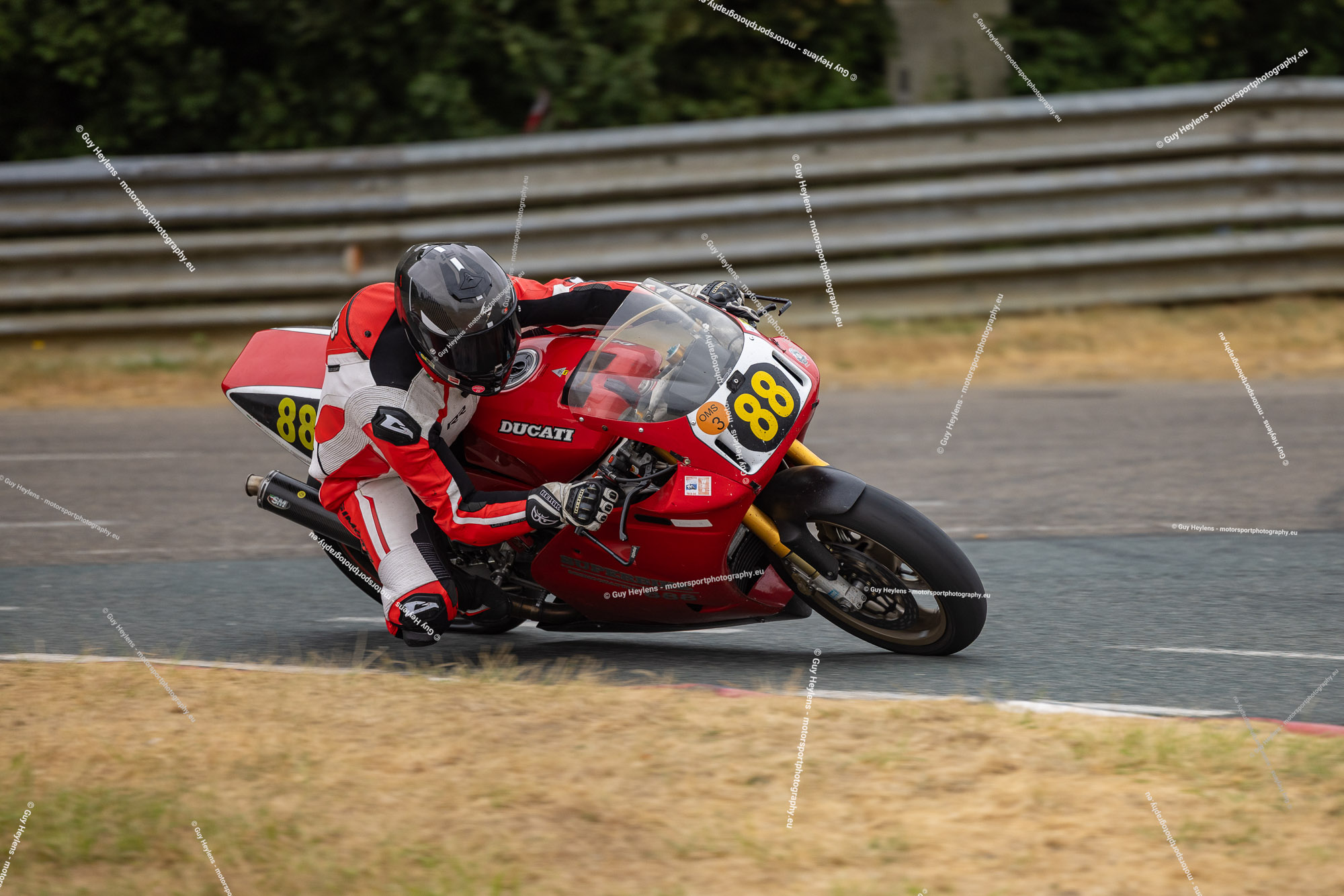 Paddock-1248.jpg