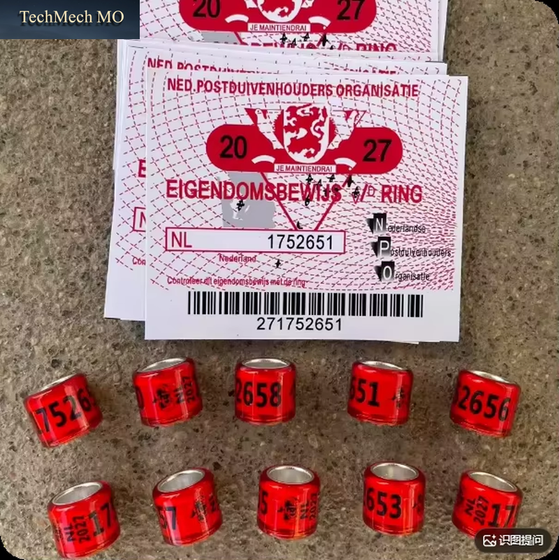 2027 Dove Rings with Tickets BELG Pigeon Foot Ring with Cards NL Bird Rings with Letters Card 10Pcs/Lot