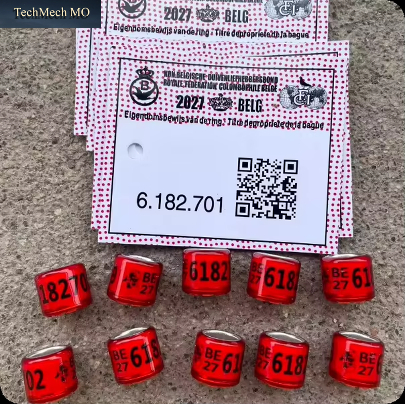 watermarked_5473232-113f2a02-ddf7-4f0e-8d8f-509f15d8a694-6abaf70d85fdcf0a80e2dcd9.png