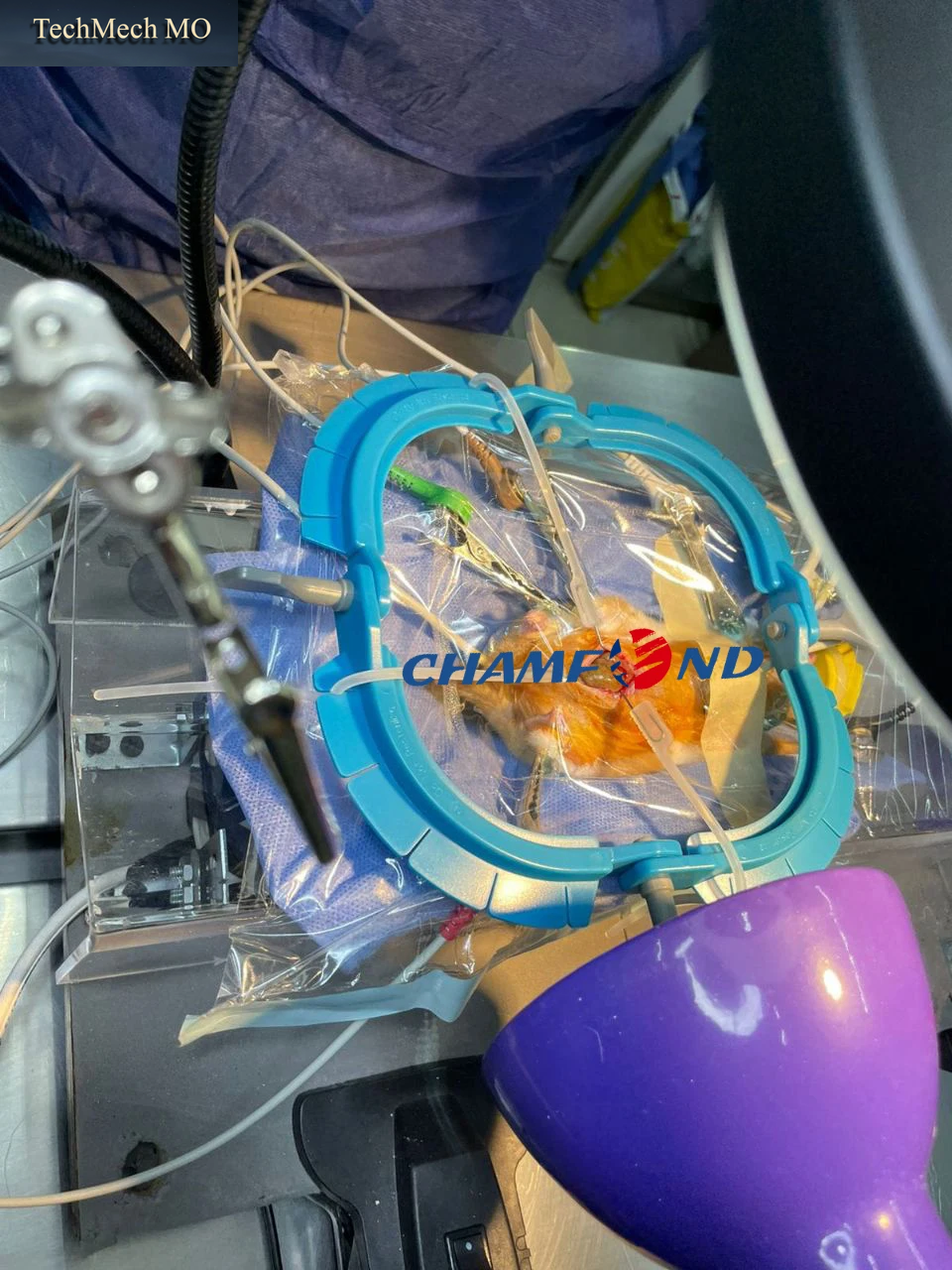 watermarked_5473232-9ec2eccc-0337-4250-9faa-76dfc851ce51-6aa31ef5704402c02e8c4da4.png