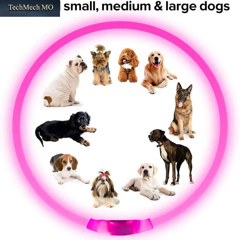watermarked_5473232-ff5d234e-9dfa-4610-bdf8-2d3dc7109d44-6a9930bea353739d907a4e50-9.png
