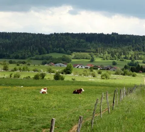 Bourgogne-Franche-Comté
