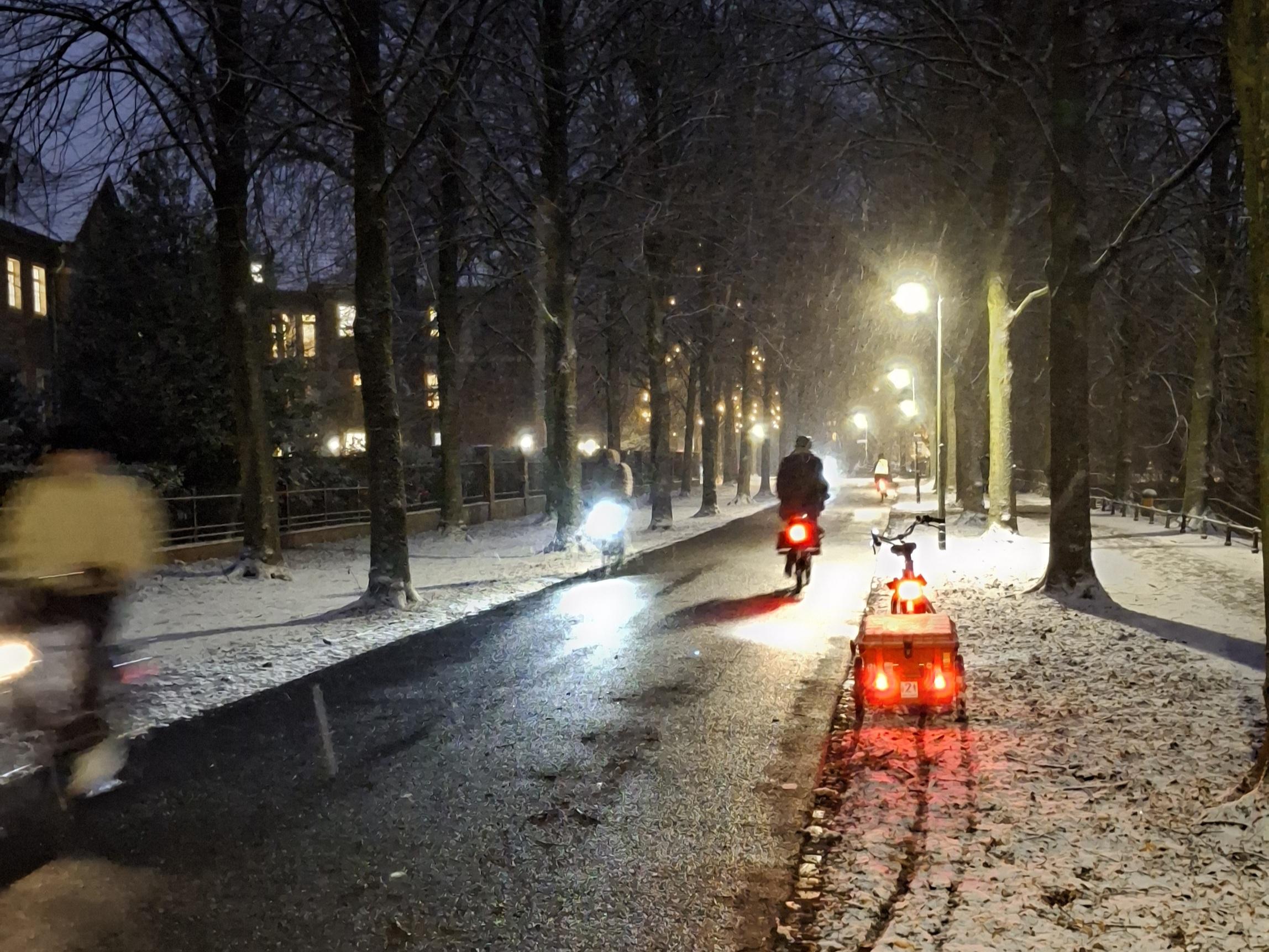 Promenade von Münster, zwischen den Bäumen links und rechts der Fahrban liegt Schnee, es schneit noch leicht, es ist dunkel, auf der Fahrbahn sind in beide Richtungen Radfahrende unterwegs. Die Scheinwerfer blenden teilweise. Keiner fährt ihne Licht. Am rechten Rand steht ein Fahrrad mit Anhänger die Rückleuchten sind eingeschaltet. Die Laternen beleuchten die Scenery.
