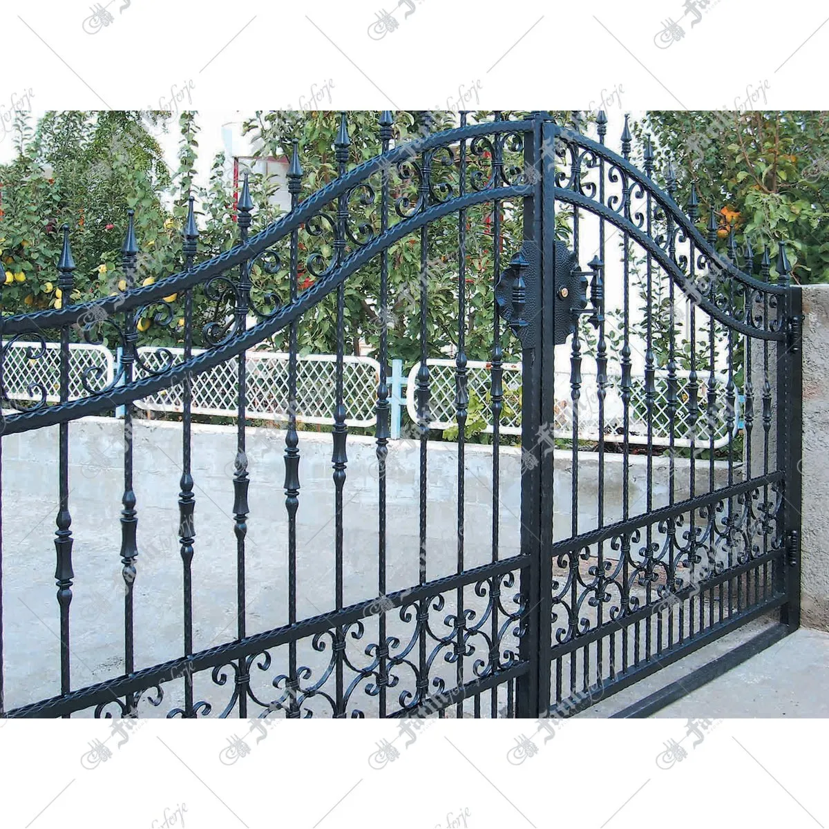 1255 — image 1