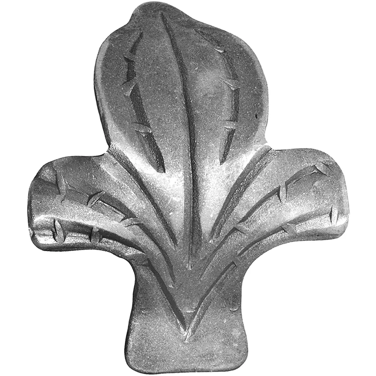 19255 — image 1