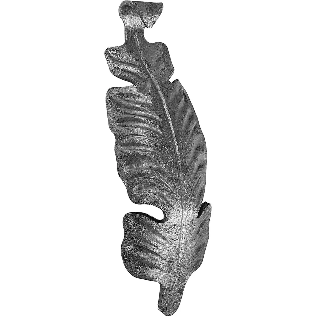 19262 — image 1