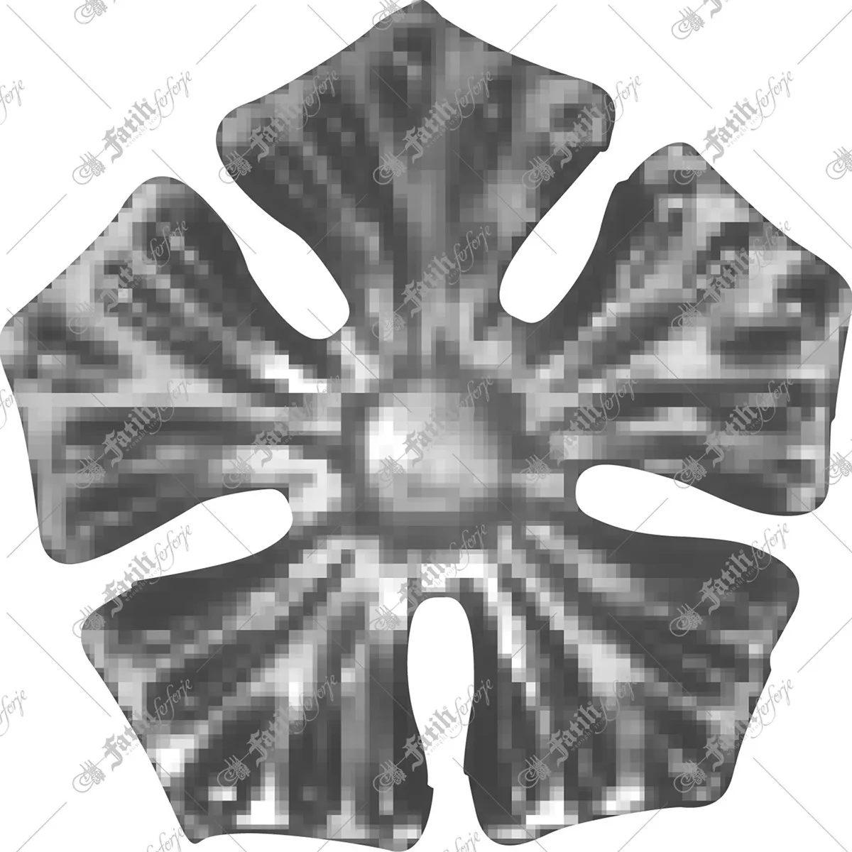 19339 — image 1