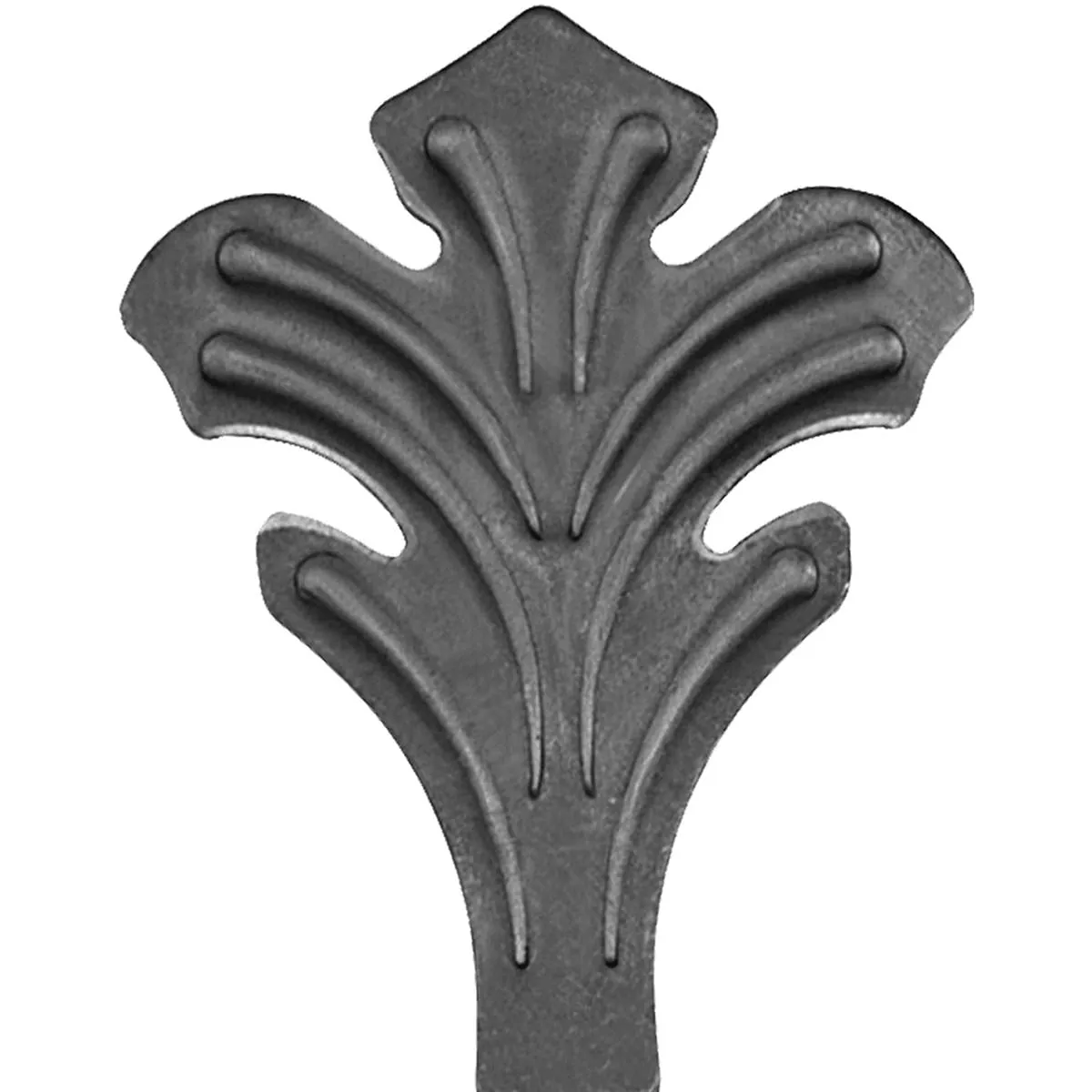 19648 — image 1