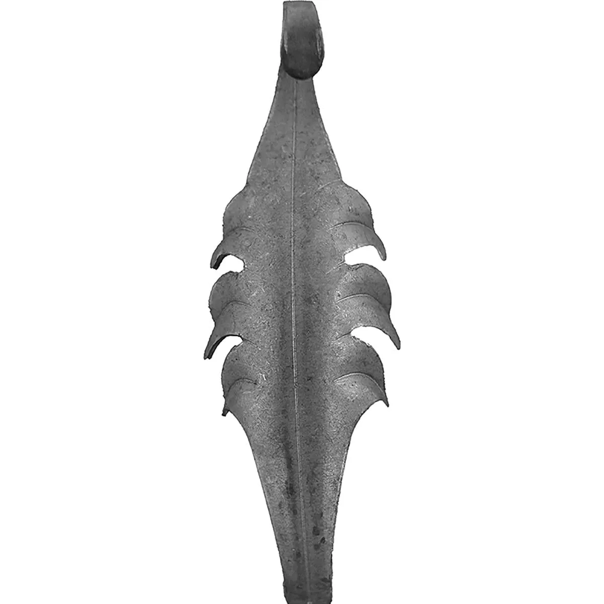 19655 — image 1