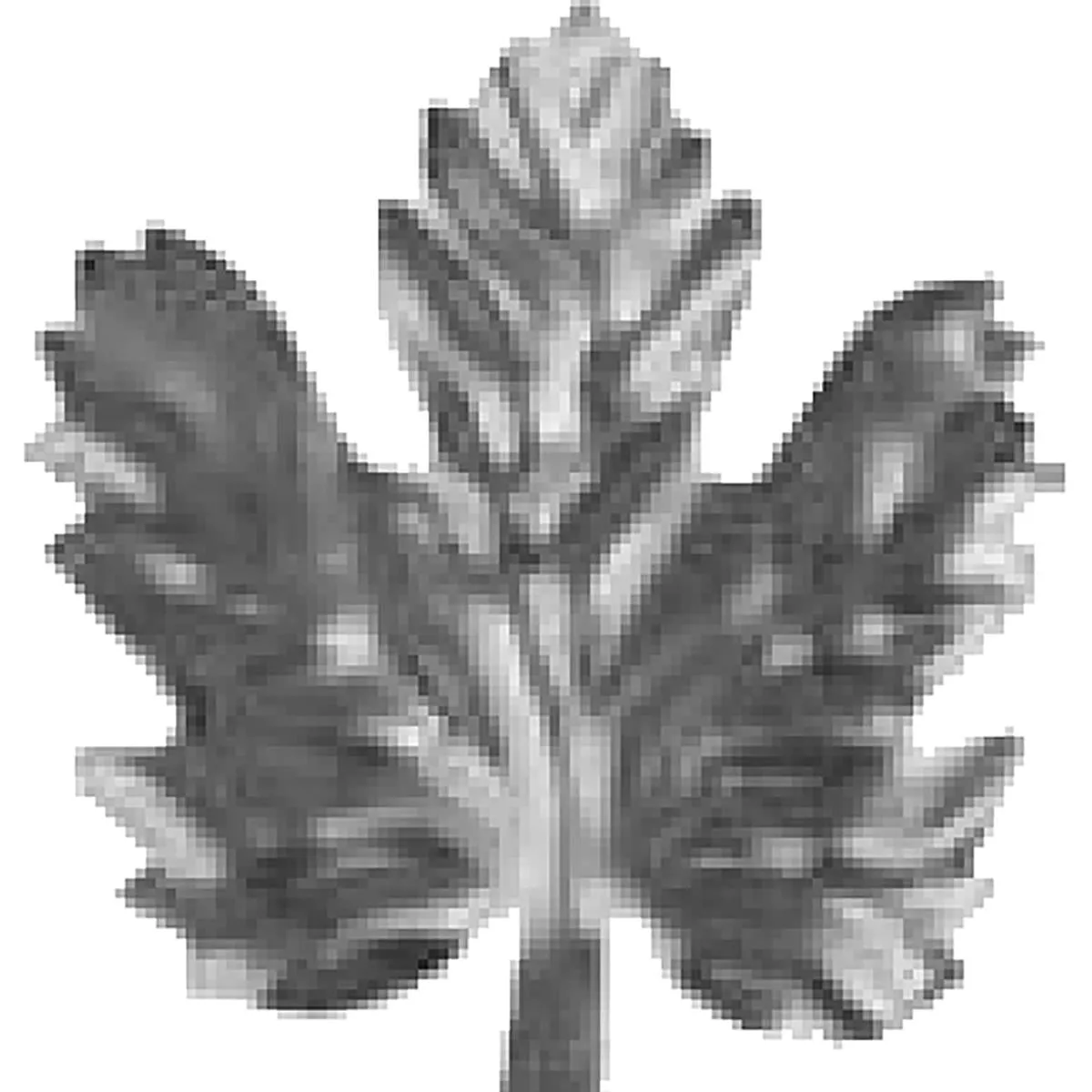 19669 — image 1