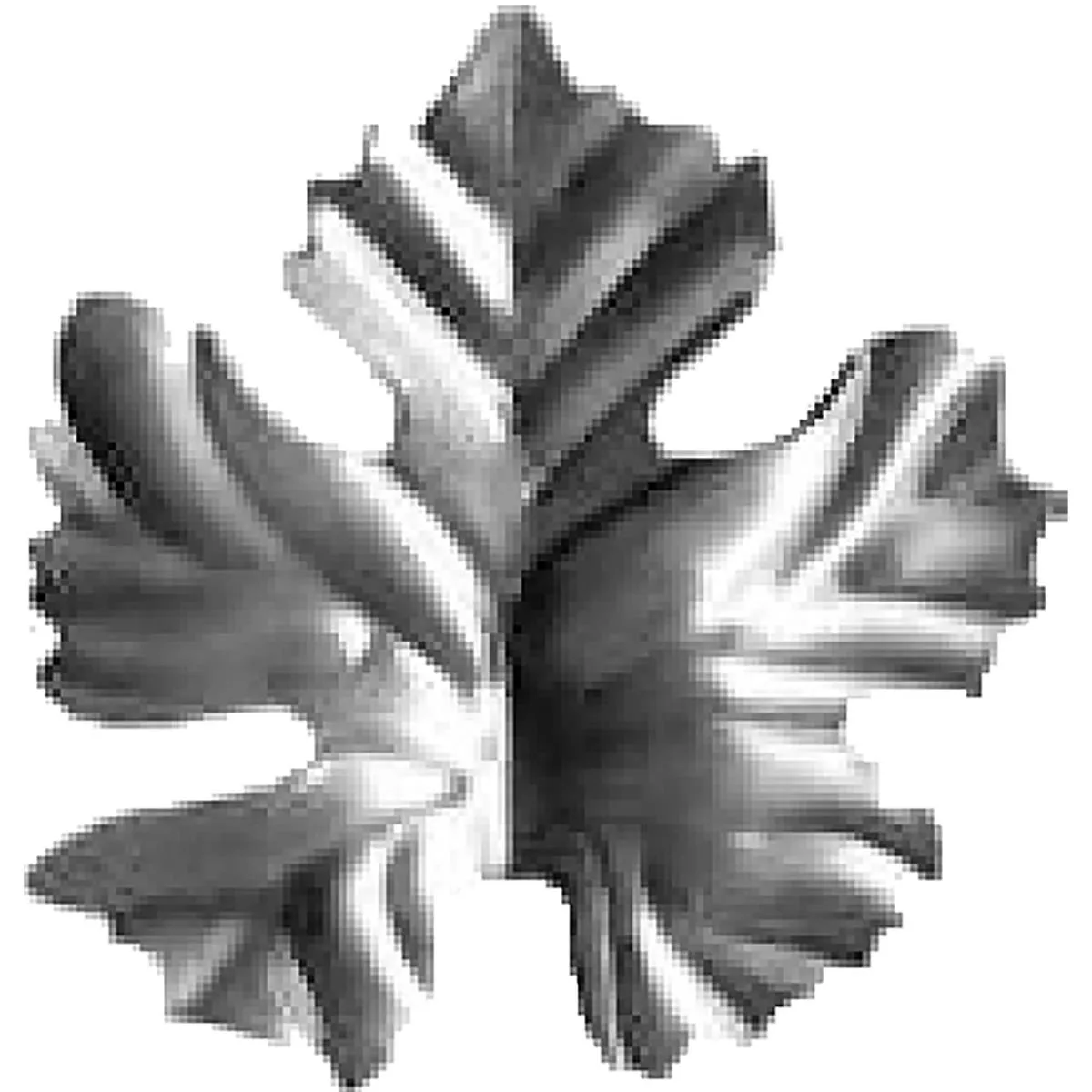 19682 — image 1