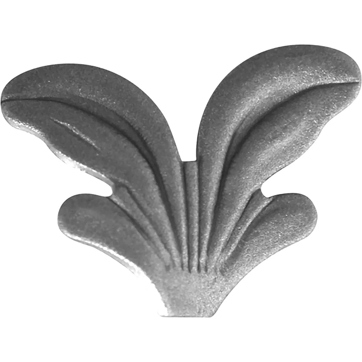 DF-19358-L — image 1