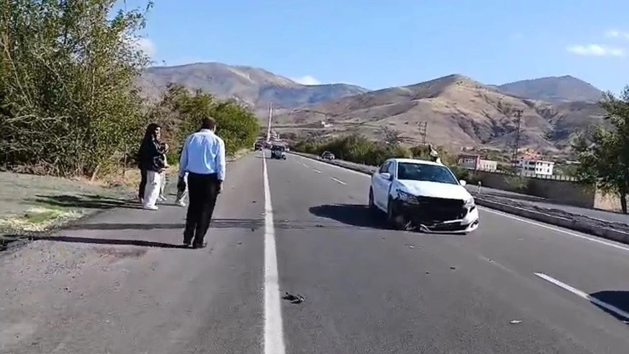 Elazığ'da Otomobilin Köpeğe Çarpması Sonucunda 1 Kişi Yaralandı