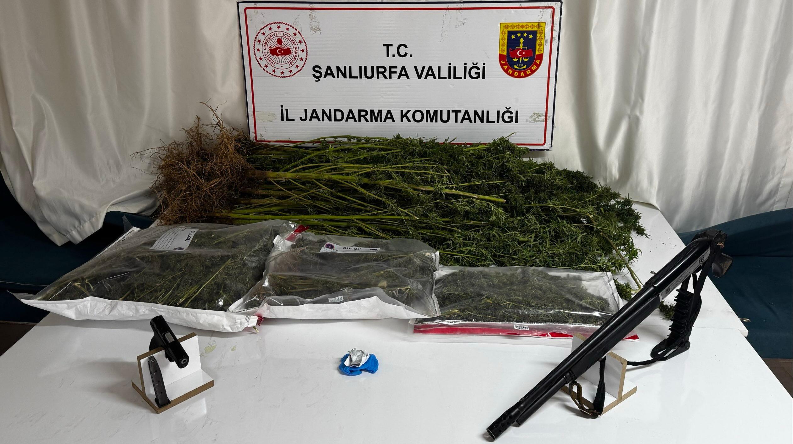 Şanlıurfa'da Uyuşturucu Operasyonu