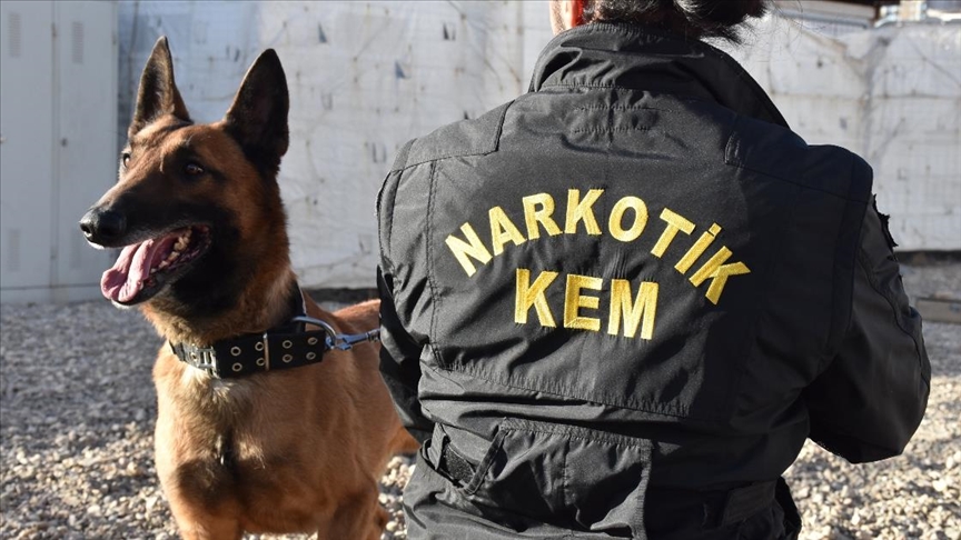 Hakkari'de Bahçede Gizlenmiş 15 Kilo Esrar Ele Geçirildi