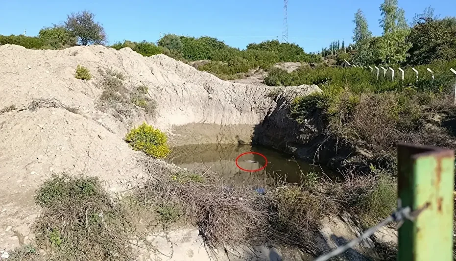 Antalya'nın Serik İlçesinde Su Çukurunda Kadın Cesedi Bulundu
