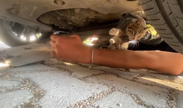 Antalya Kumluca'da Motor Kaputuna Sıkışan Kedi Yavrusu Kurtarıldı