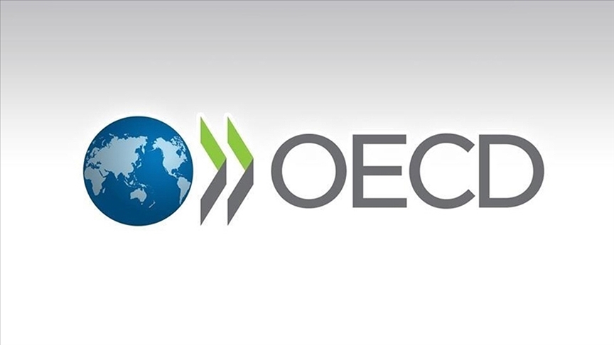 OECD ülkelerinde kalıcı göç azaldı: Sığınma başvuruları rekor kırdı