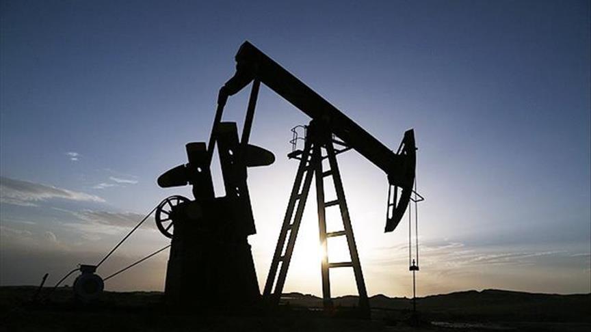ABD eleştirilerine rağmen Hindistan Rus petrolü almaya devam ediyor