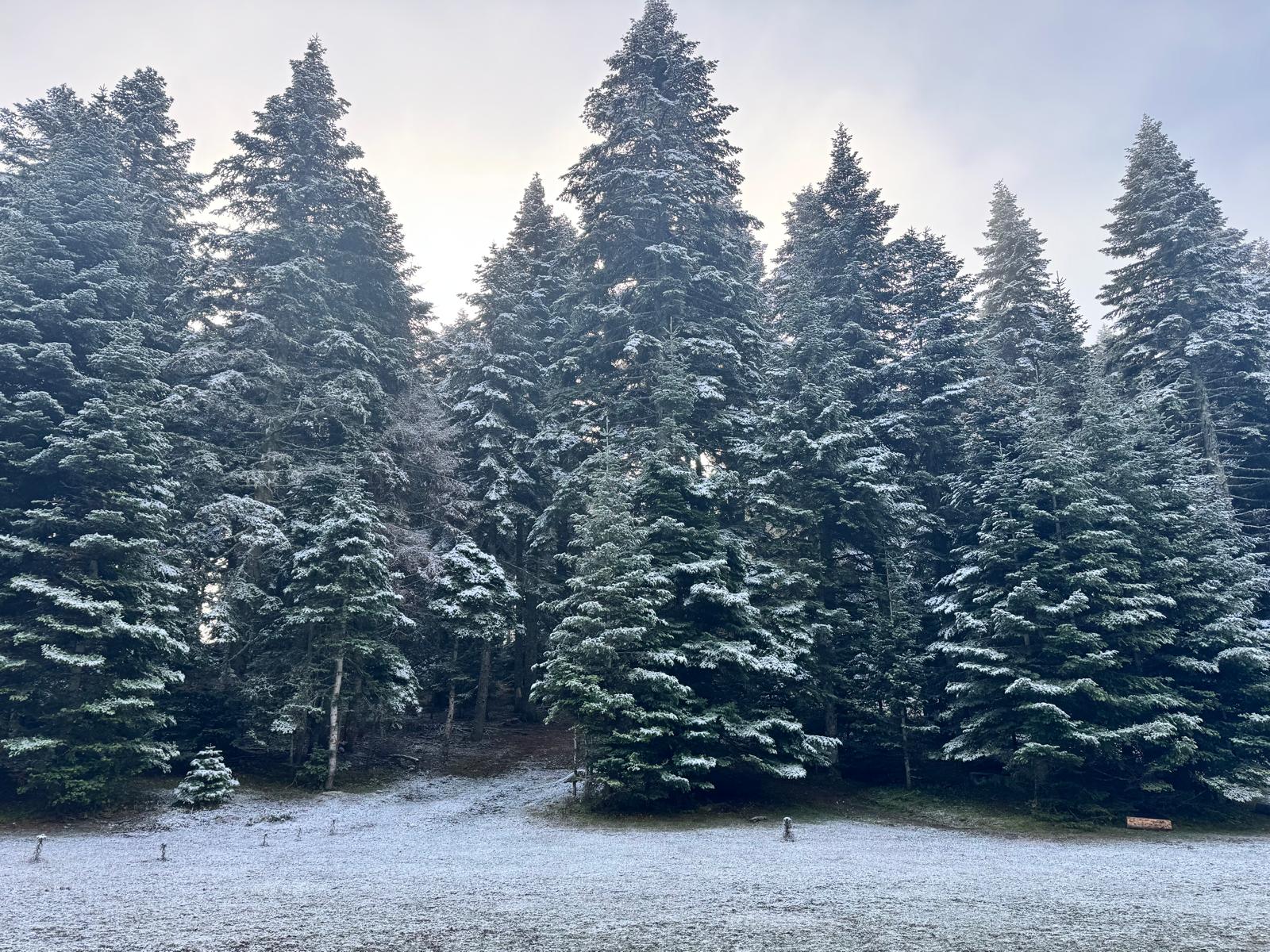 Bolu'nun Yüksek Kesimlerinde Kar Yağışı Etkili Oldu
