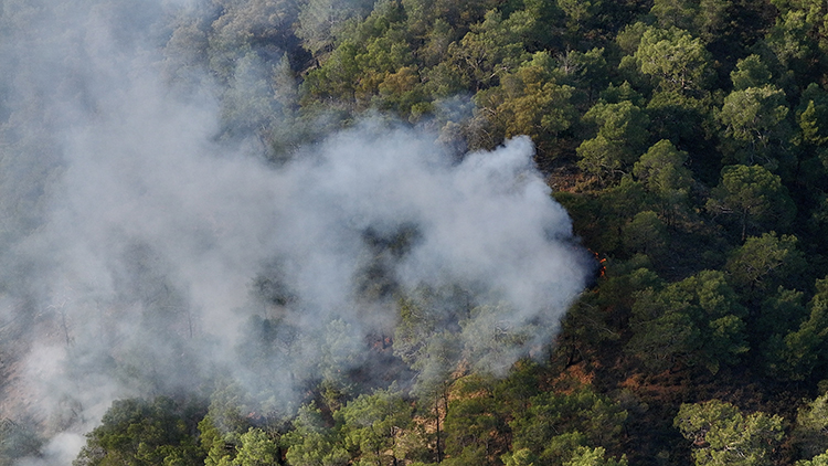 01KA6N3C6TV8AY5R849724RGCE