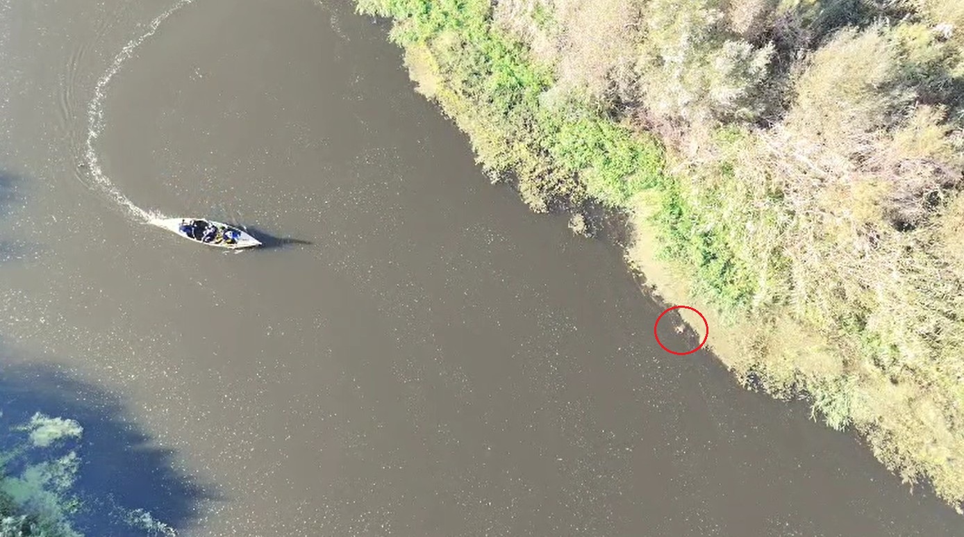 01KA6PEGCPD6NWBCS7GJEHXX48