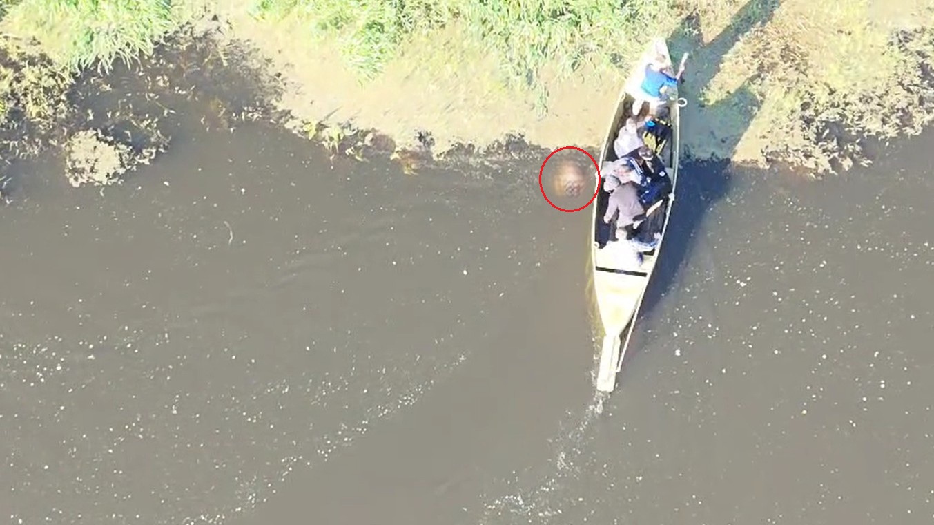 01KA6PF9VG6S671ZERT1WKVQP8