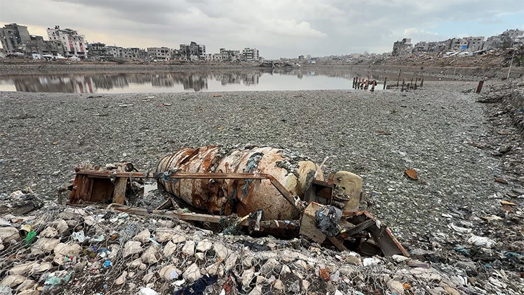 01KA6ZCCYJV01AV28KJSFSSF61