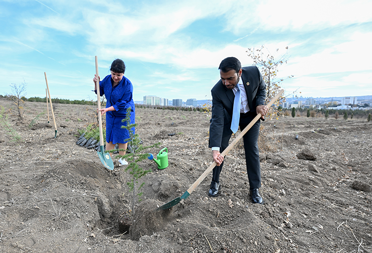 01KAC74FNH48EEKRAJRD0CGNCY